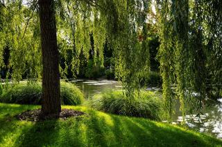 Giverny by car from Paris, the easy Monet day trip